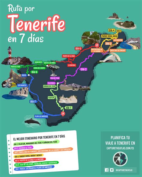 que hacer hoy en tenerife sur|Que ver en tenerife sur